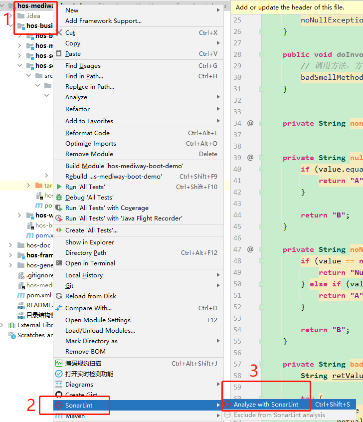 sonar-lint-code-analyze-project.png